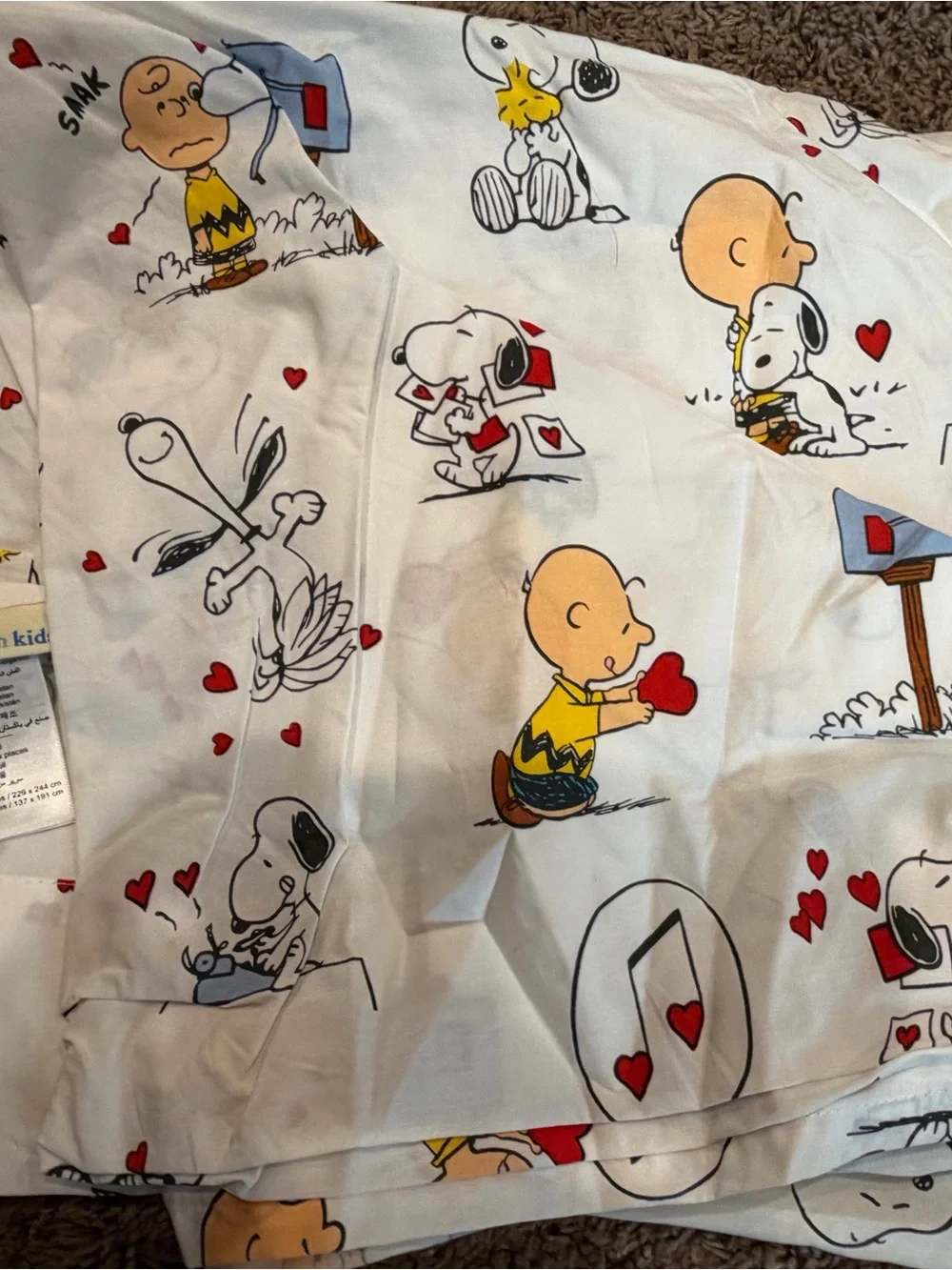 Pottery Barn Kids X Peanuts Full Size Valentines Organic Cotten Sheet Set